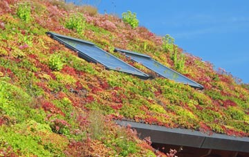 Woodworth Green living roof systems